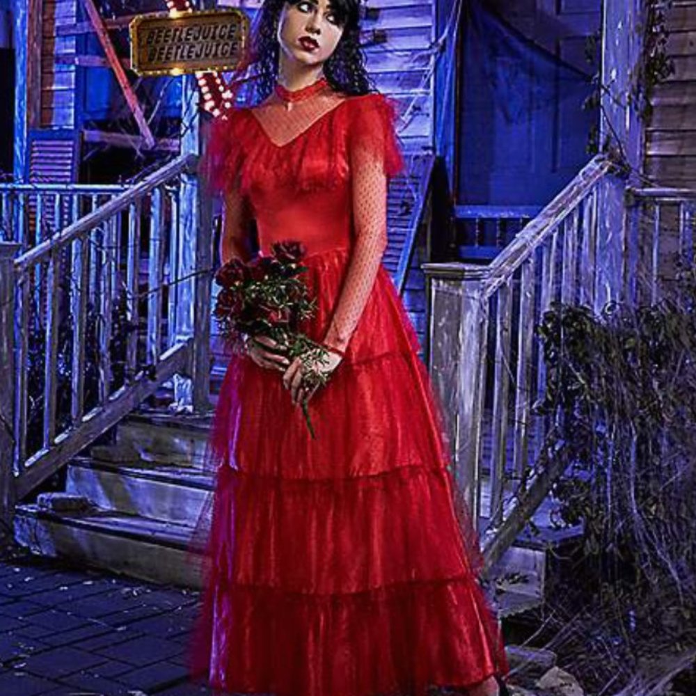 Adult Lydia Deetz Beetlejuice Costume (Sz XL)